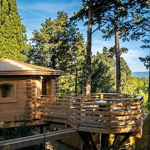 Les Cabanes Dans Les Bois